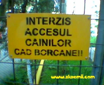 cad borcane