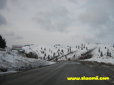 intre judetele bacau si harghita